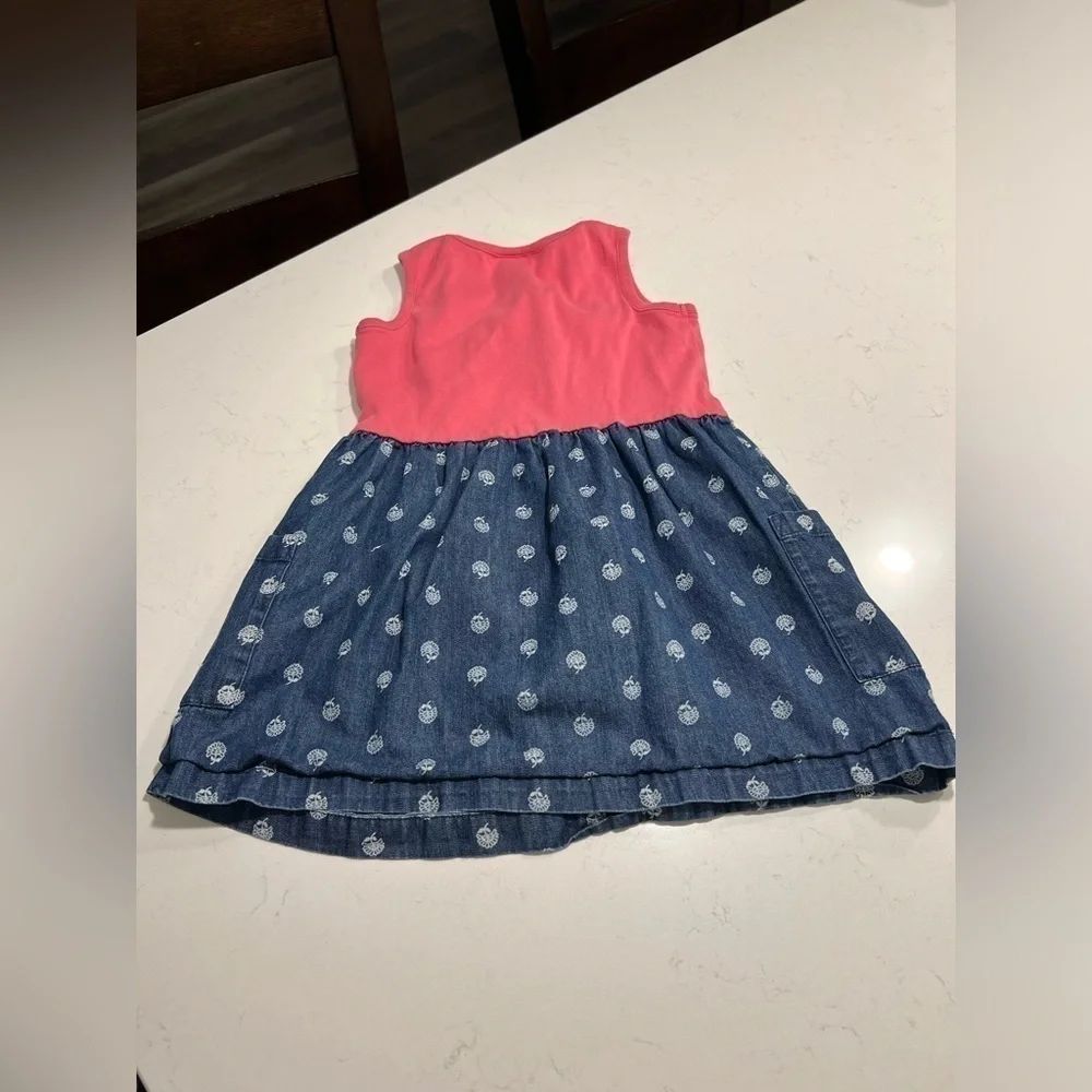 Hanna Anderson Pink and Chambray Floral Dress size 3-5 years